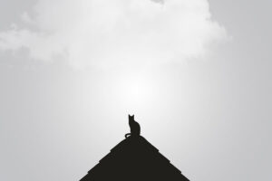 Mehr über den Artikel erfahren Minimalist books