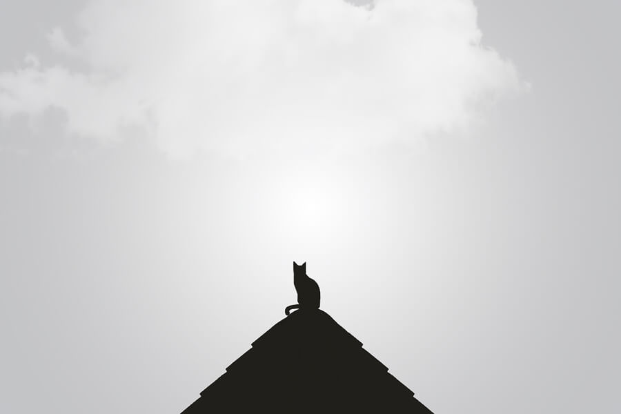 Mehr über den Artikel erfahren Minimalist books
